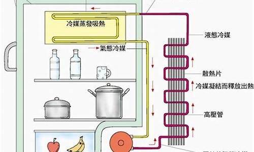 冰箱的工作原理_冰箱的工作原理动画演示