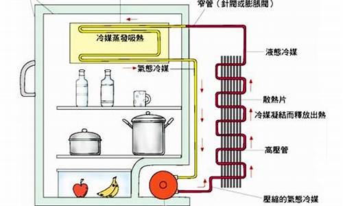 电冰箱的工作过程_电冰箱的工作原理是什么初中所学的